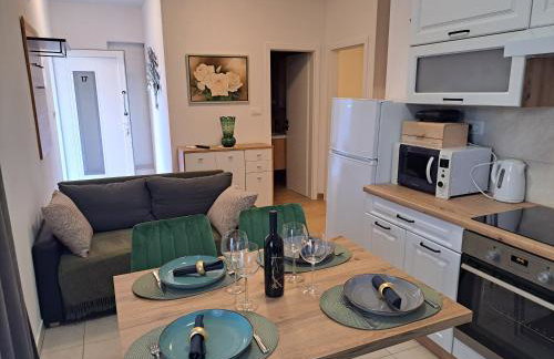 Apartman Iko Cista Provo - Foto 10