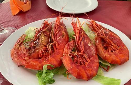 Bambú, Conjunto Playa del Palo - Photo 60