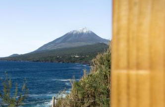 Picos House - Photo 42