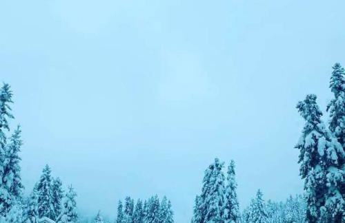 Elati Electra's Cozy House - Foto 28