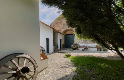 Casa Luis Pato - Foto 43