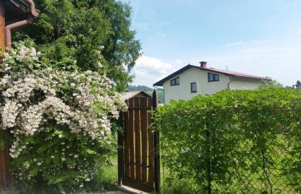 Świnna - Brzozowy Zagajnik - Foto 2