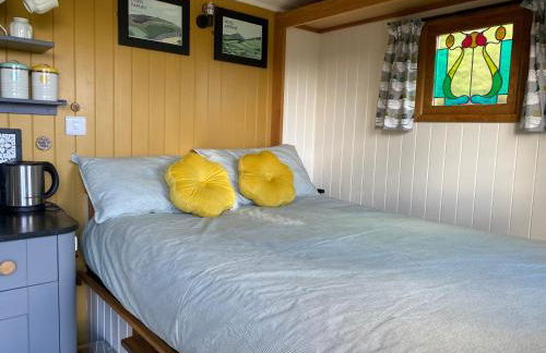 Shepherds Hut in the Hills - Nr. Mold - Foto 11