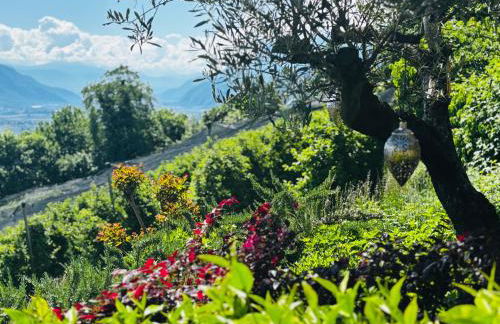 Residence Pranterhof - Foto 48