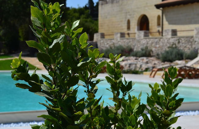 Masseria San Cosimo - Photo 27