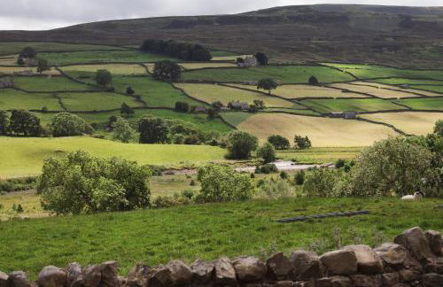 Crow Hall - Luxury Holiday Accommodation - Photo 22