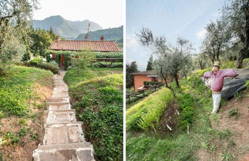 Casetta di Butia, Ginestra apartment with swimming pool - Foto 41