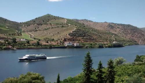 Casa dos Vinhais Douro Valley - Foto 3