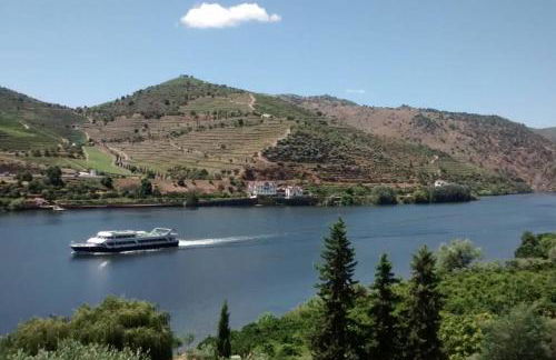 Casa dos Vinhais Douro Valley - Foto 3