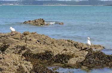 TI GWEN HA DU - Photo 30