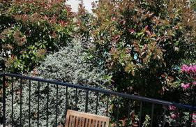 Maison du Charron - Foto 12