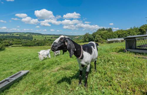 2 Bed in Llandeilo oc-waw313 - Foto 22