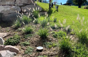 Panorama Ferienwohnung Horben - Foto 28