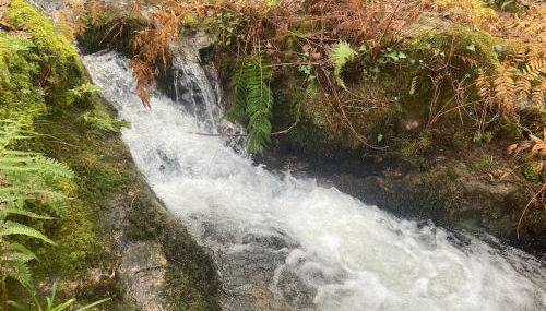 casa de campo - Foto 5