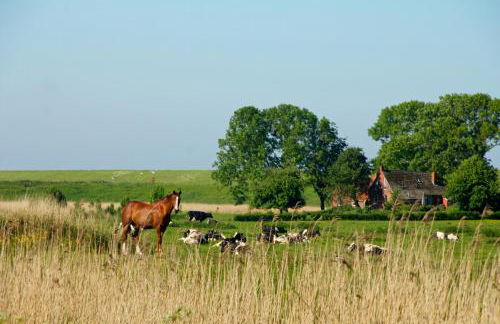 Haus Horizont - Foto 61
