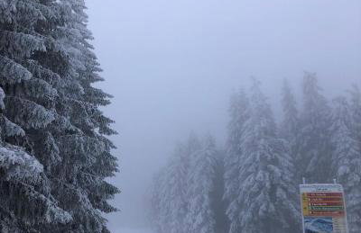 Schwarzwald Chalet Matti in Todtnauberg - Foto 75
