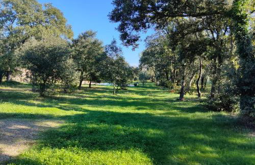 BASTIDE Neissoun - Foto 6