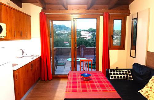 Flamencos del cerrado - Photo 59