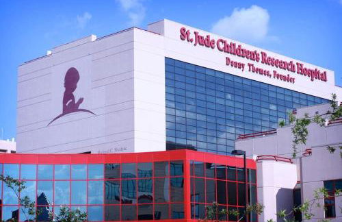 Cozy Delightful Private Studio near Rhodes College, Shuttle, & Vehicle Rental - Foto 33