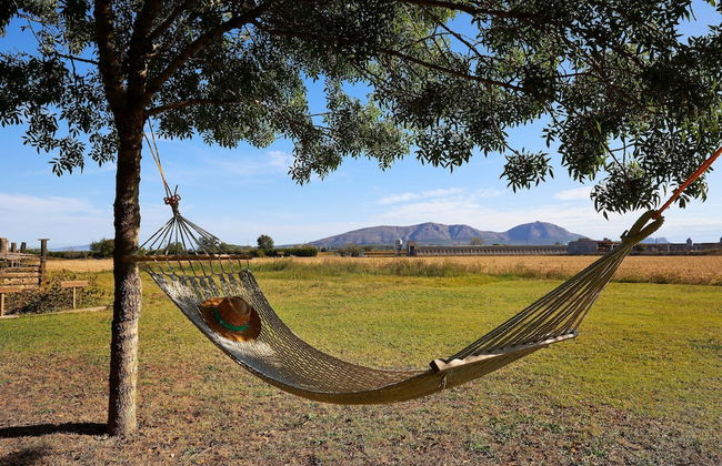 Can Pujol Turisme Rural - Photo 63