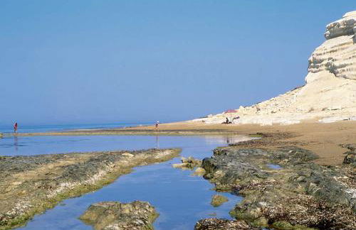 Azienda Agricola Mandranova - Foto 65