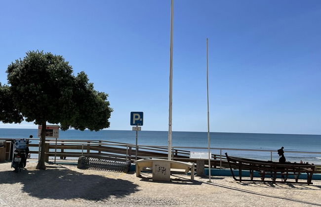 Azinheira CIP - Photo 47