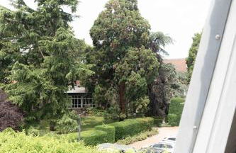 Apartment Mayer in Wachenheim an der Weinstraße - Foto 30