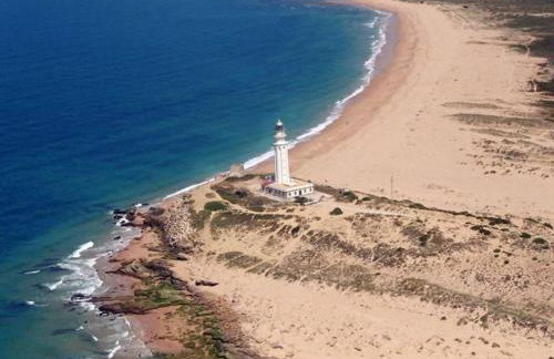 LA HOYA ALCORNOCALES - Foto 22