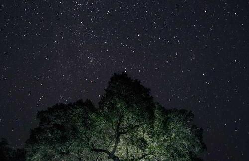 Plaza del Pacifico La Bazana - Foto 18