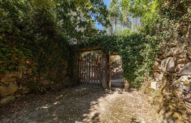 Forest House Casinha do Carvalhal - Foto 29