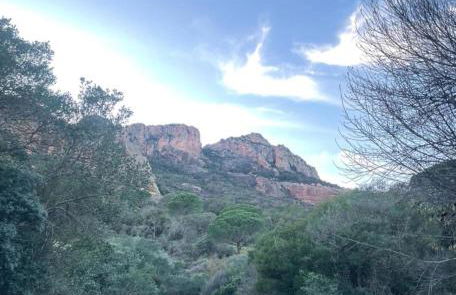 Villa Les Glycines - Foto 38