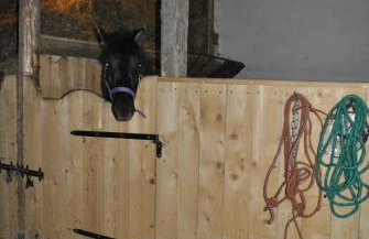 Jaworowa Zagroda - Foto 10