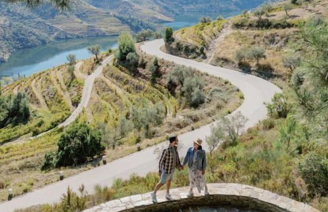 Quinta Vila Rachel - Photo 38