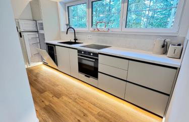 LifeStyle Apartments am Steinsberg, Self Check In, Terrasse, Burg Blick - Foto 23