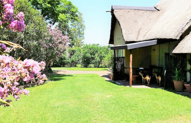 Pine Tree Lodge - Foto 44