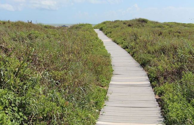 Royale Beach and Tennis Club - Foto 34