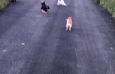 Lincoln Holiday Retreat Lodge with Private Hot Tub - Foto 35