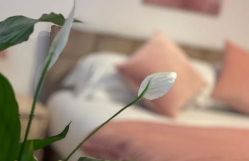 PENDERI HOUSE Usk with Cymru Holidays - Foto 30