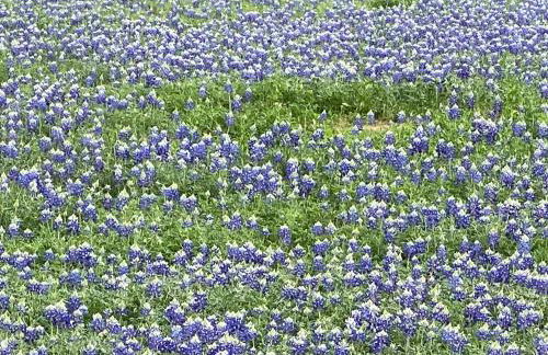 V700 Ranch Stays (Guesthouse)-A Tucked Away Gem - Foto 16