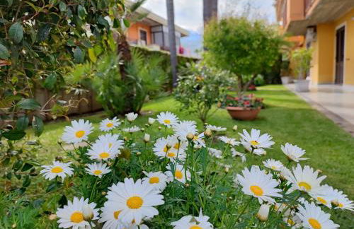 Maresole tra l'Etna e Taormina - Foto 44