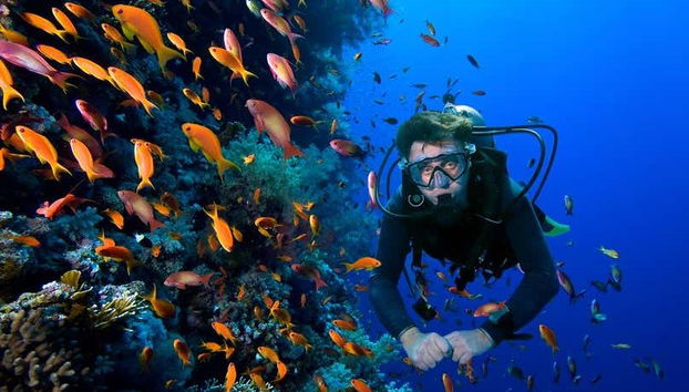 Plongée à Carthagène des Indes