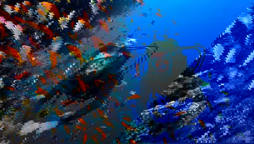 Plongée à Carthagène des Indes