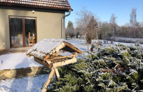 Auszeit Haus am See - Photo 18