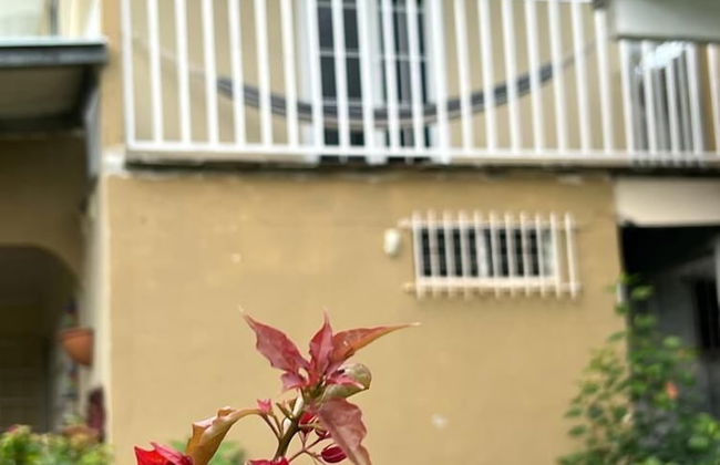 Villas Don Pablo - Foto 3