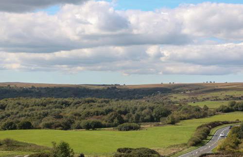 Highgate house - Foto 46