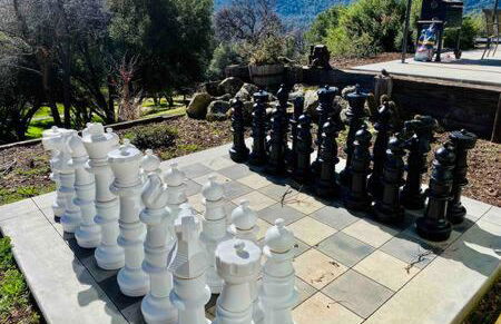 Black Bear Haven Hot tub Pool table BBQ Darts - Foto 27