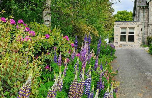 Willows Apartment - Foto 16