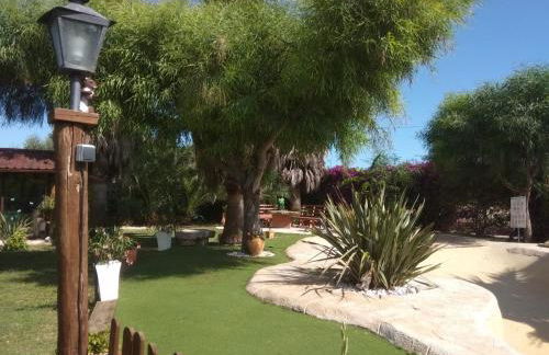 Lo Racó de Peret - Foto 67