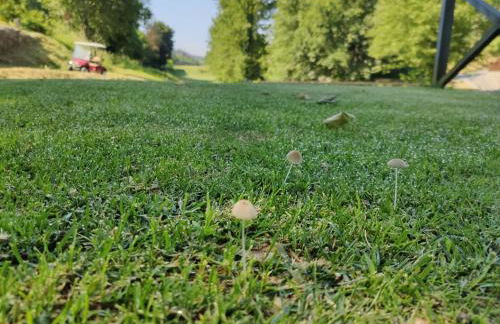 Rilhadas Casas de Campo - Foto 57