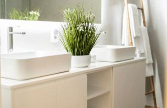 Azores Green Villas - Photo 27